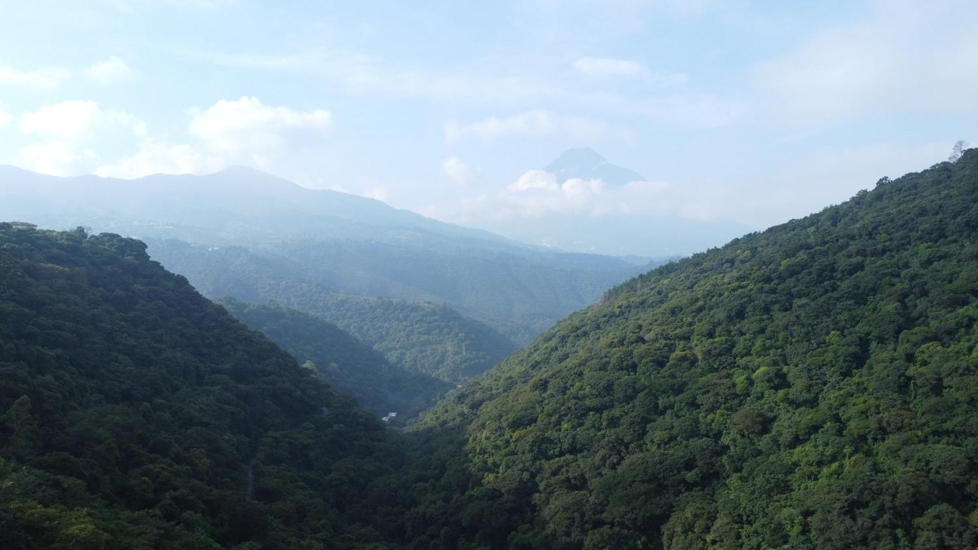 Finca San Mateo - Private Luxury Coffee Estate In Antigua Guatemala Exterior photo
